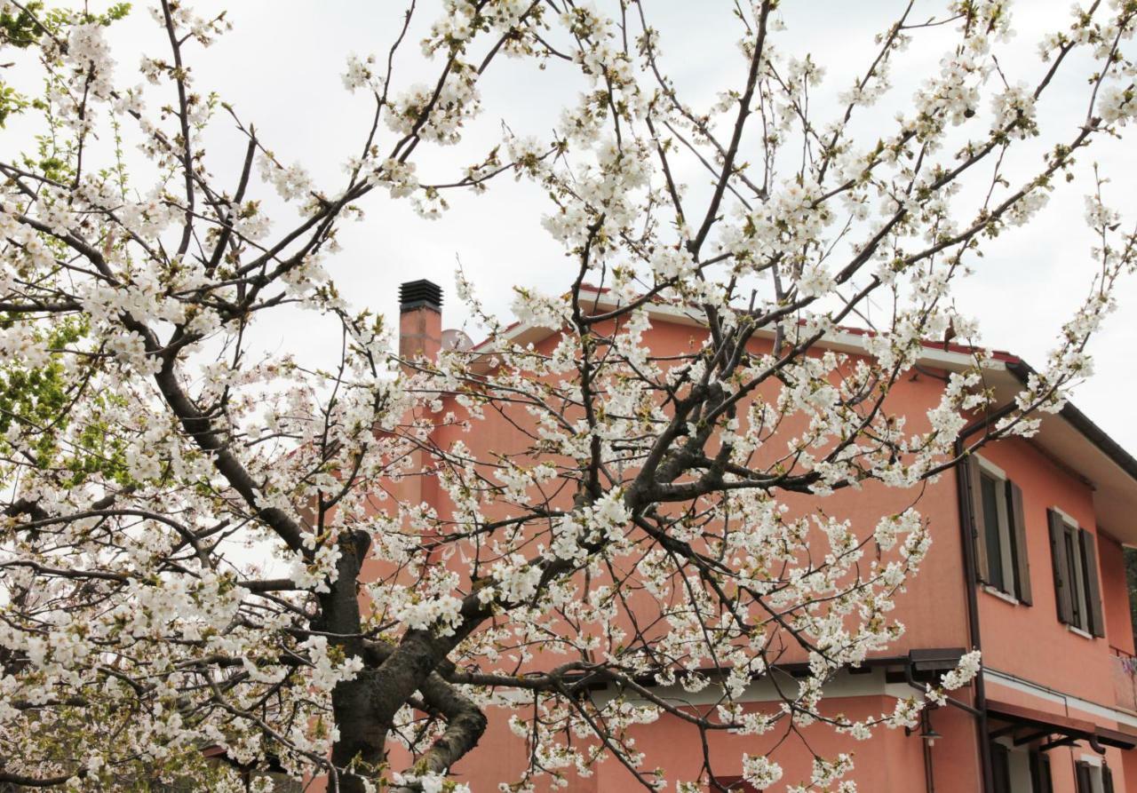 B&B Le Dolci Colline Ballino Exterior foto